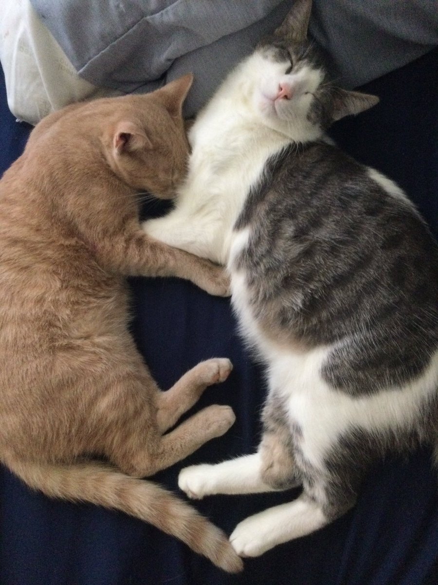 Happy Saturday 😁😁