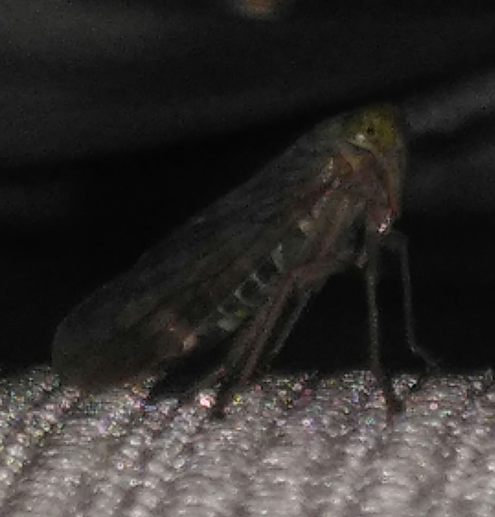 Paul Johnson tweet media