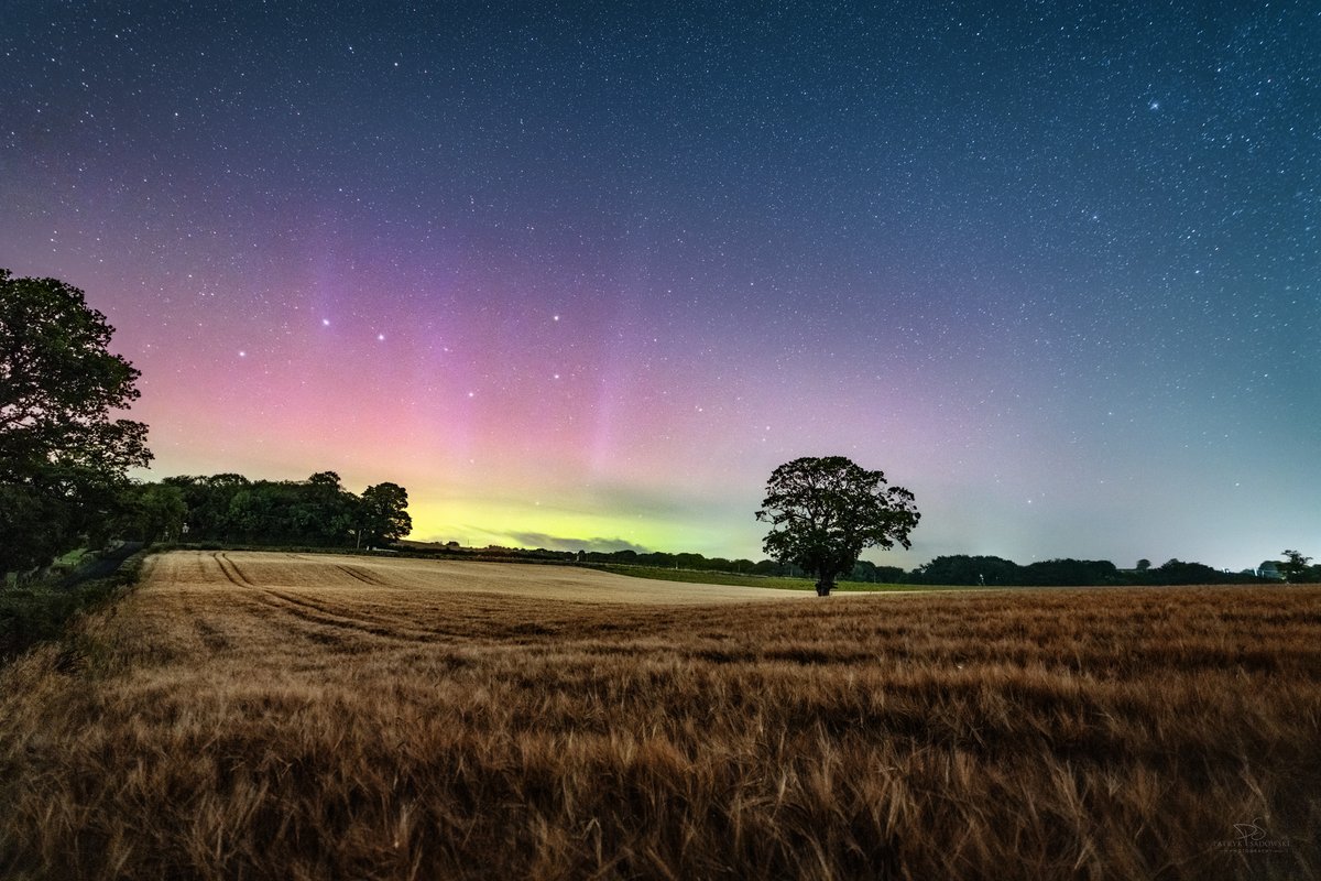 PatrykSadowski_'s tweet photo. Redcastle Tree &amp; Aurora

Yesterday I had the opportunity to photograph this famous Donegal landmark at night for the first time. As I was nearby and the statistics showed that the Land of Aurora could be visible, I couldn't pass up such an opportunity. https://t.co/tju0DVRIPA