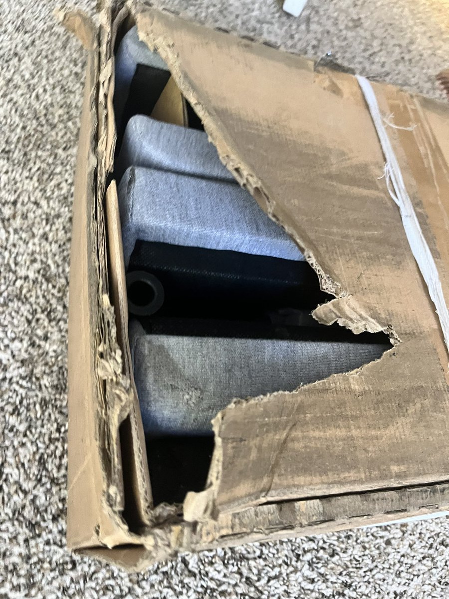 Misfit and Mayhem tweet media