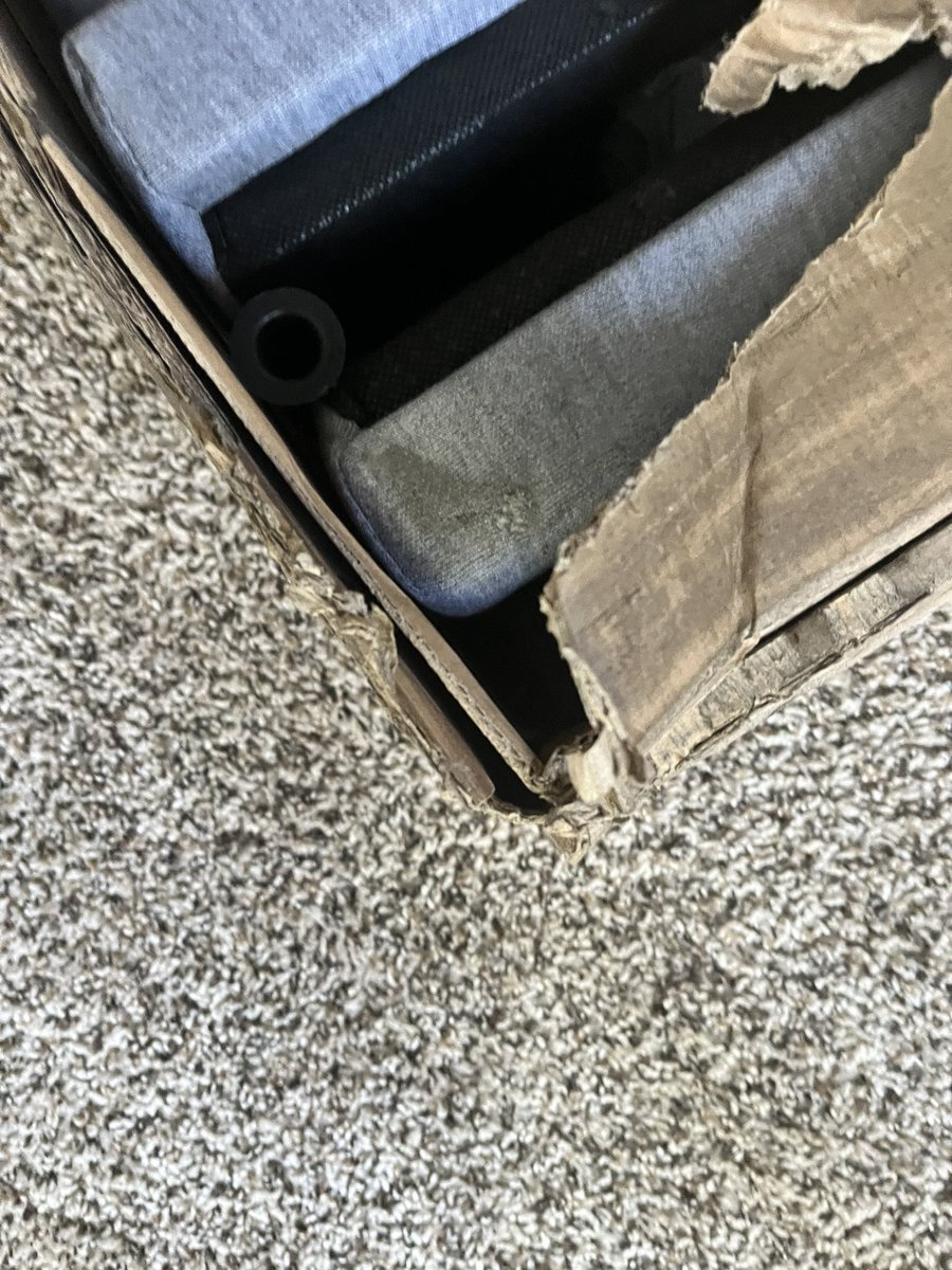 Misfit and Mayhem tweet media