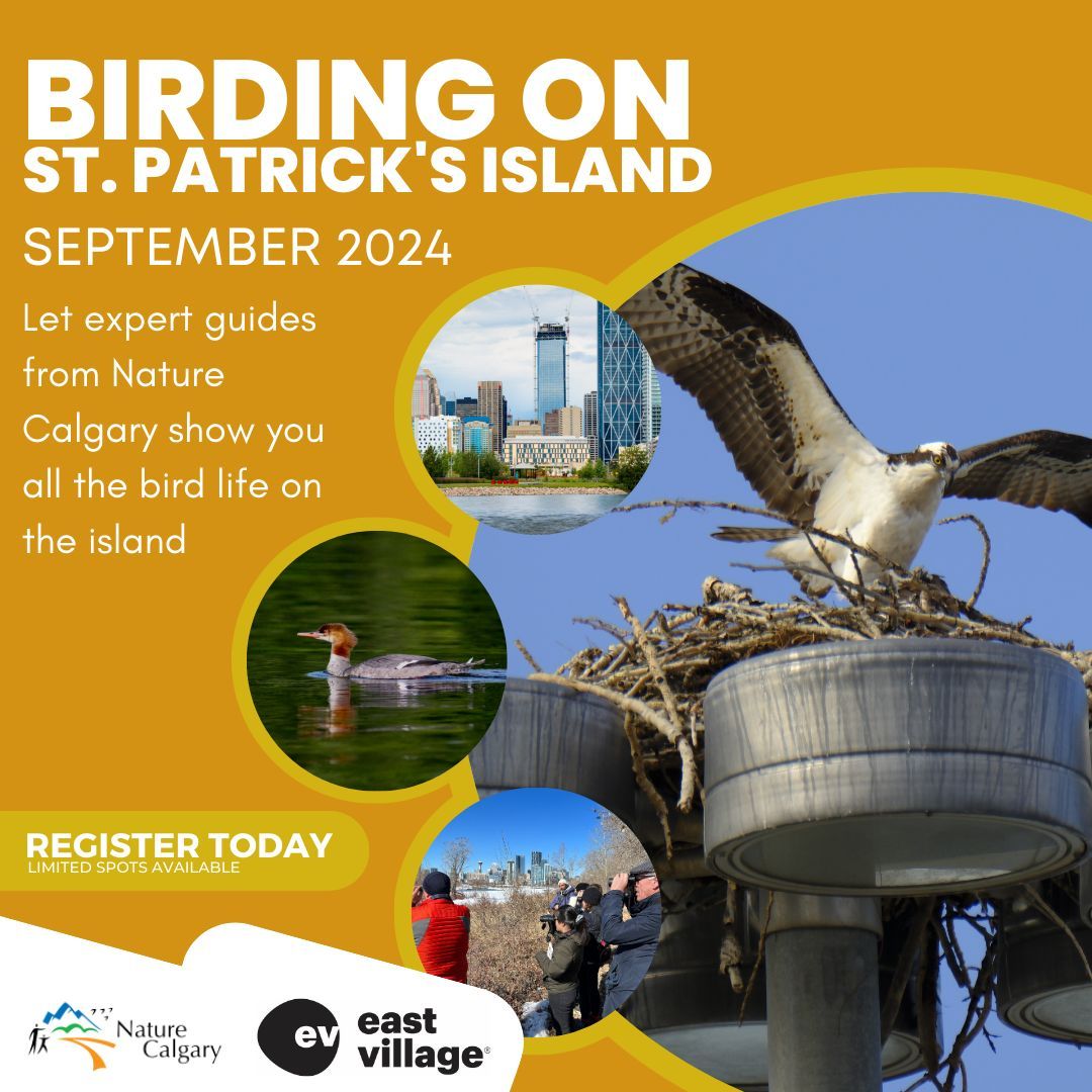 Come birding with us on St. Patrick's Island! We have three trips scheduled in September, including this Monday, September 2nd. Members and non-members welcome! Click for details and tickets. buff.ly/3X65PhT