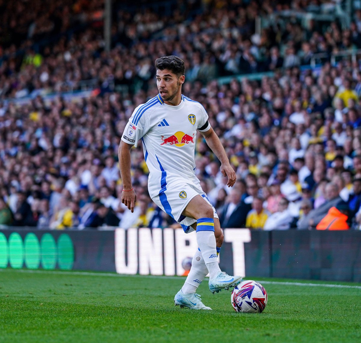 Manor Solomon tweet media