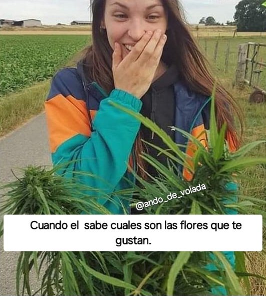 Content from littlerogerss