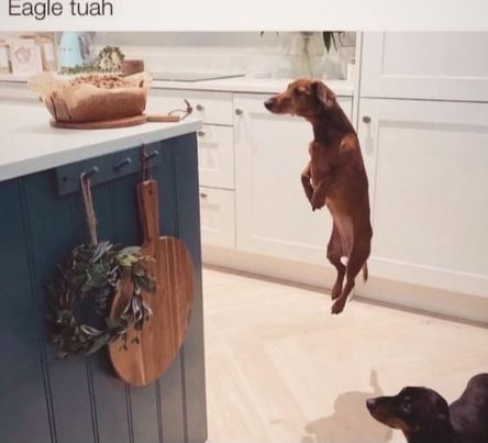 <a href="/staxxggs/">stax</a>