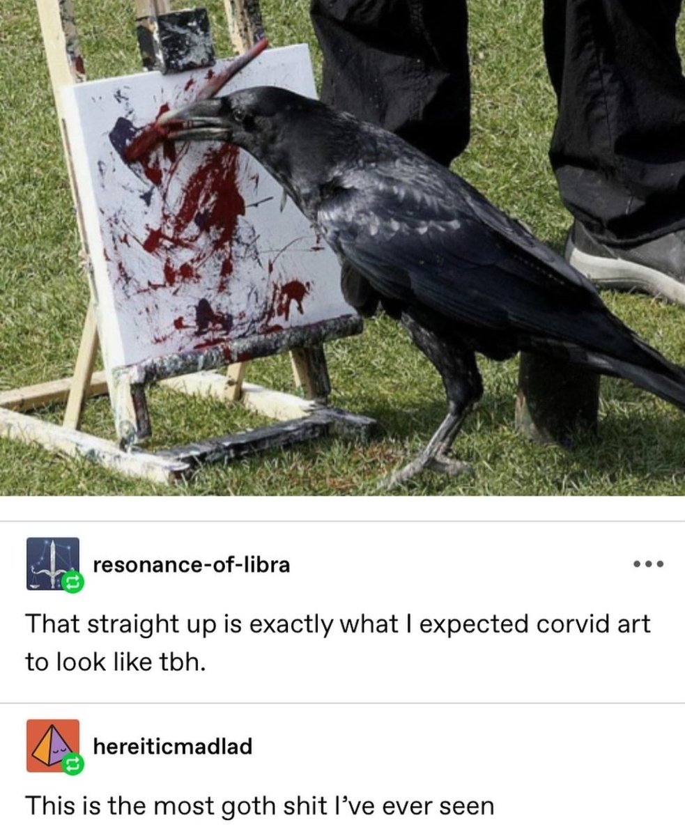 animals going goblin mode (@mischiefanimals) on Twitter photo 