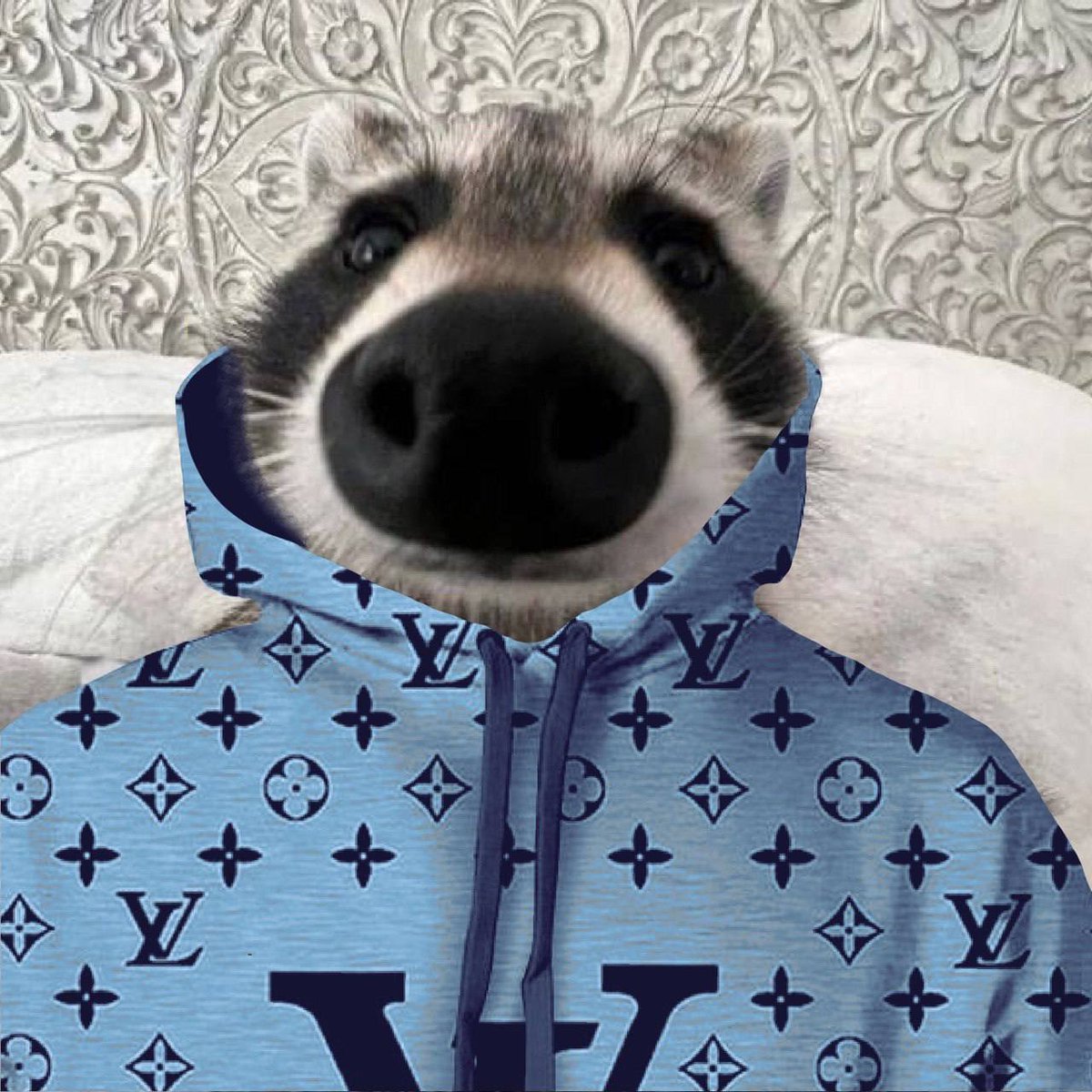 defi_shade's tweet photo. @Regrets10x $LOUIE is the best thing out there https://t.co/jiuGSBcxgd