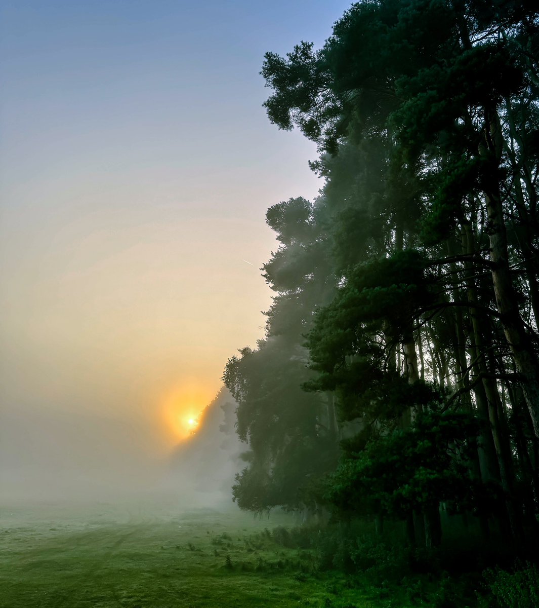 Eamon_Timmins's tweet image. Misty sunrise over the #Curragh #Kildare