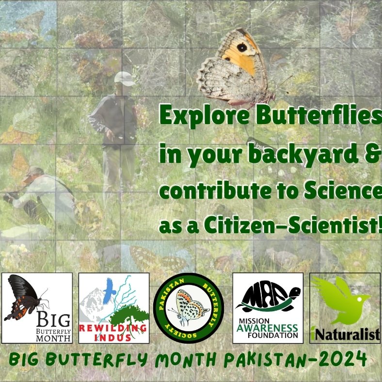 Participate in our citizen science project "Big Butterfly Month 2024 🇵🇰" and contribute to 🦋 conservation through data gathering. Join our event WhatsApp group for details:
chat.whatsapp.com/H9rTy9eurYQJSg…