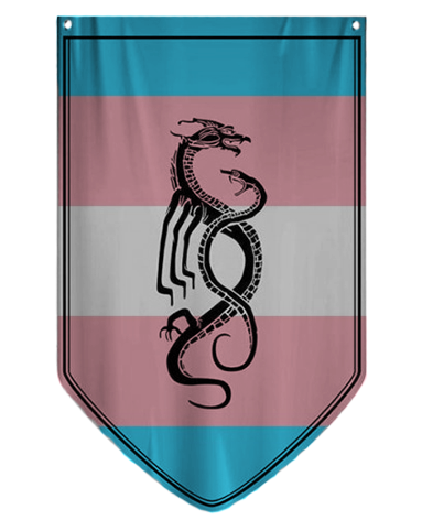 Welcome Rook... to Transvinter