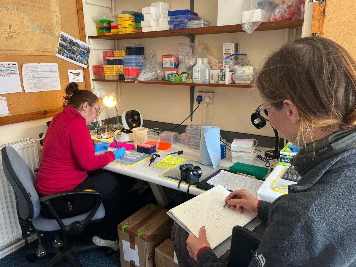 Kathryn Else tweet media