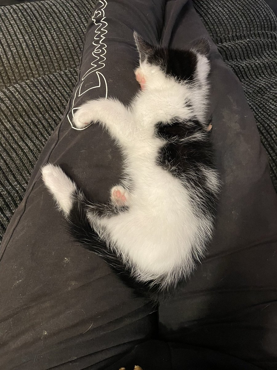 Jan Walton (Deva Durocs) tweet media