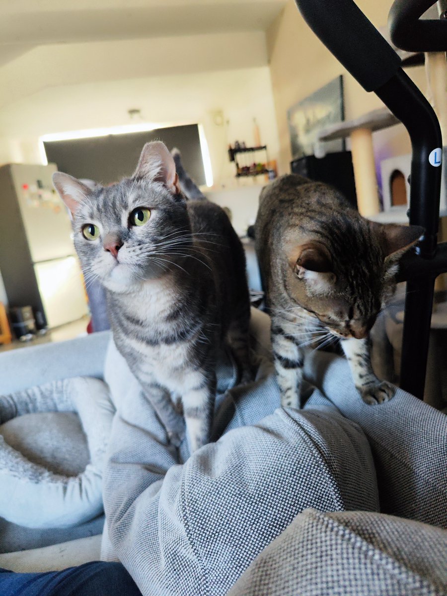 Maureen  tweet media