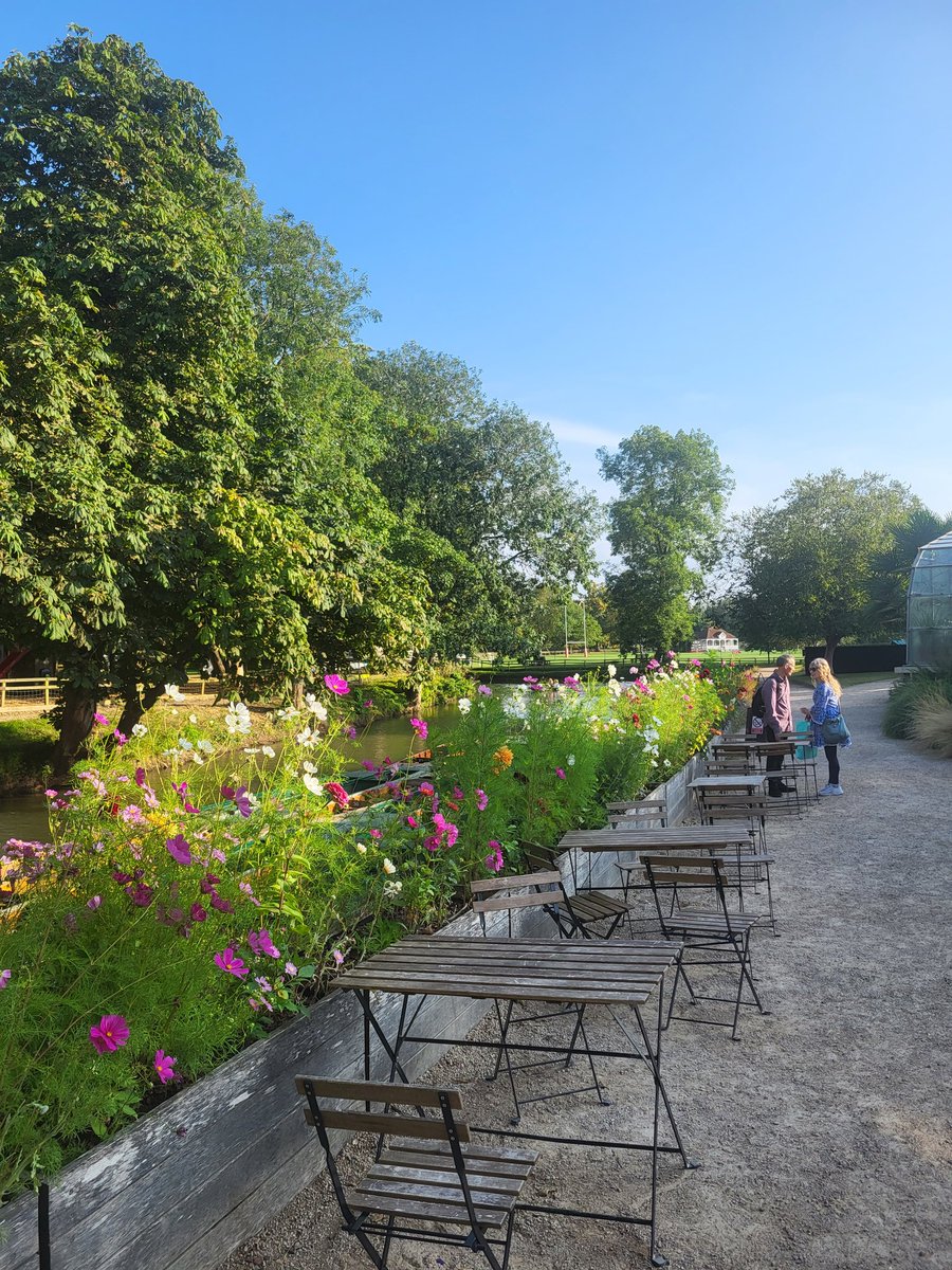 Billy Fullwood tweet media