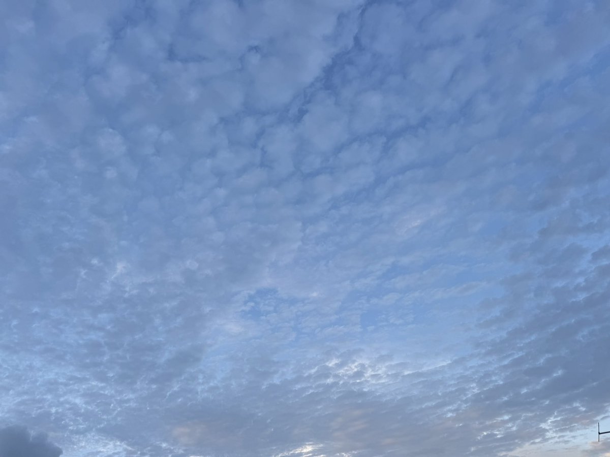 Өглөөний мэнд.