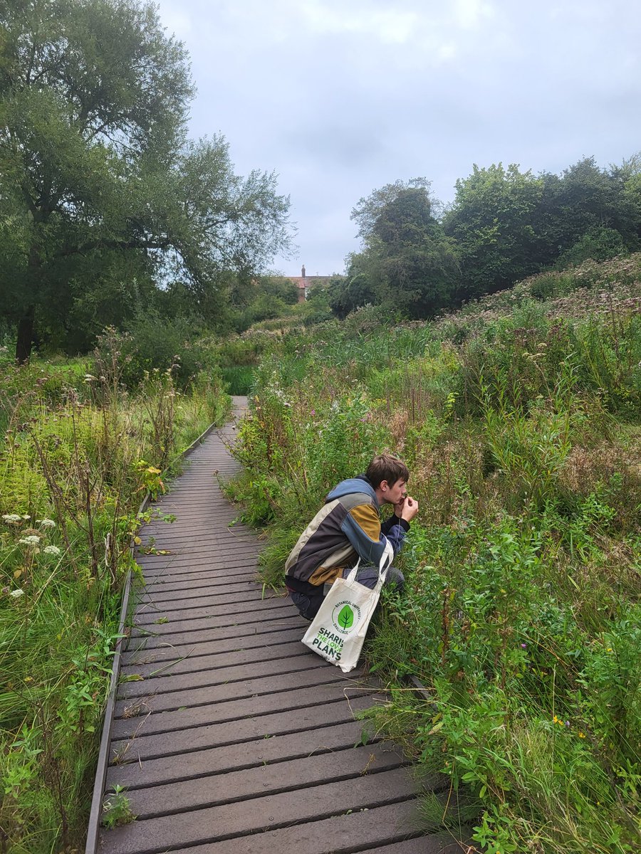 Billy Fullwood tweet media