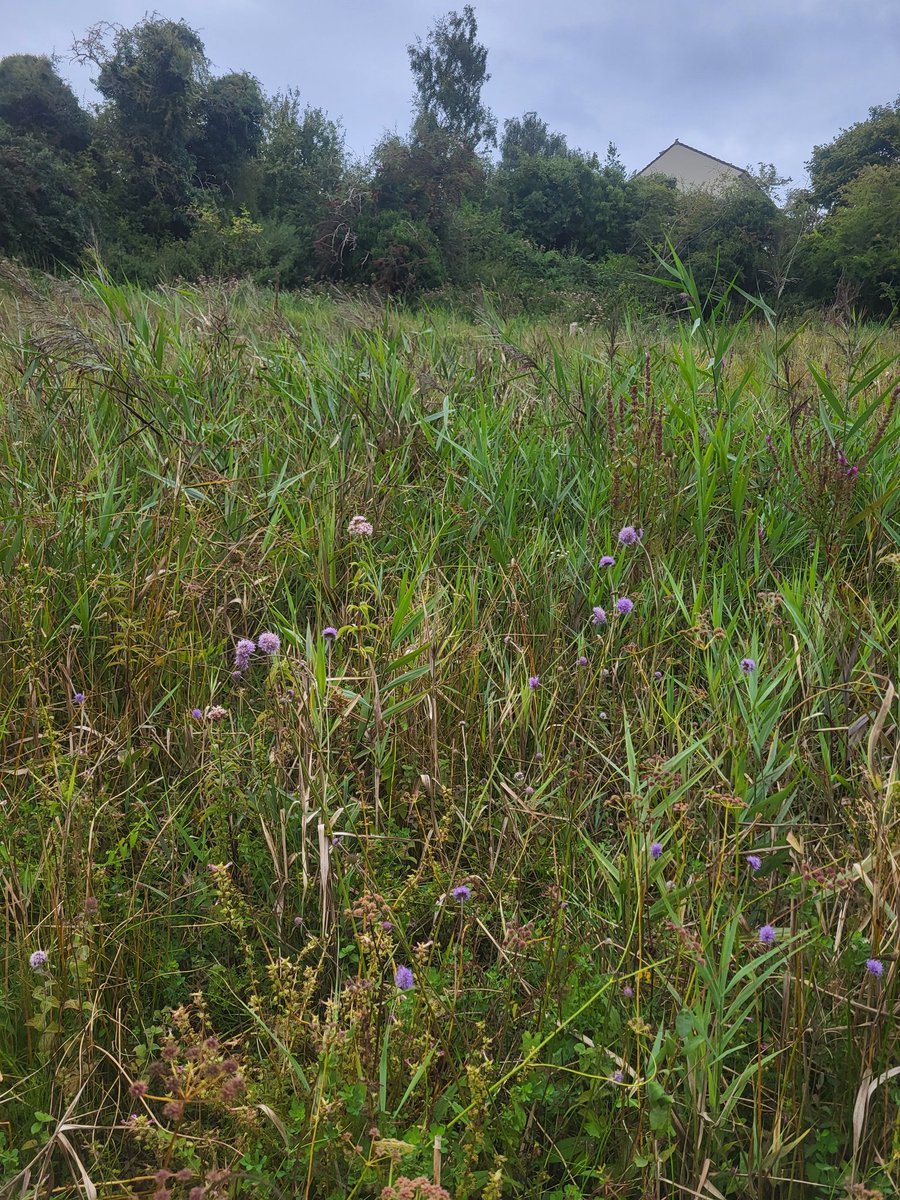 Billy Fullwood tweet media