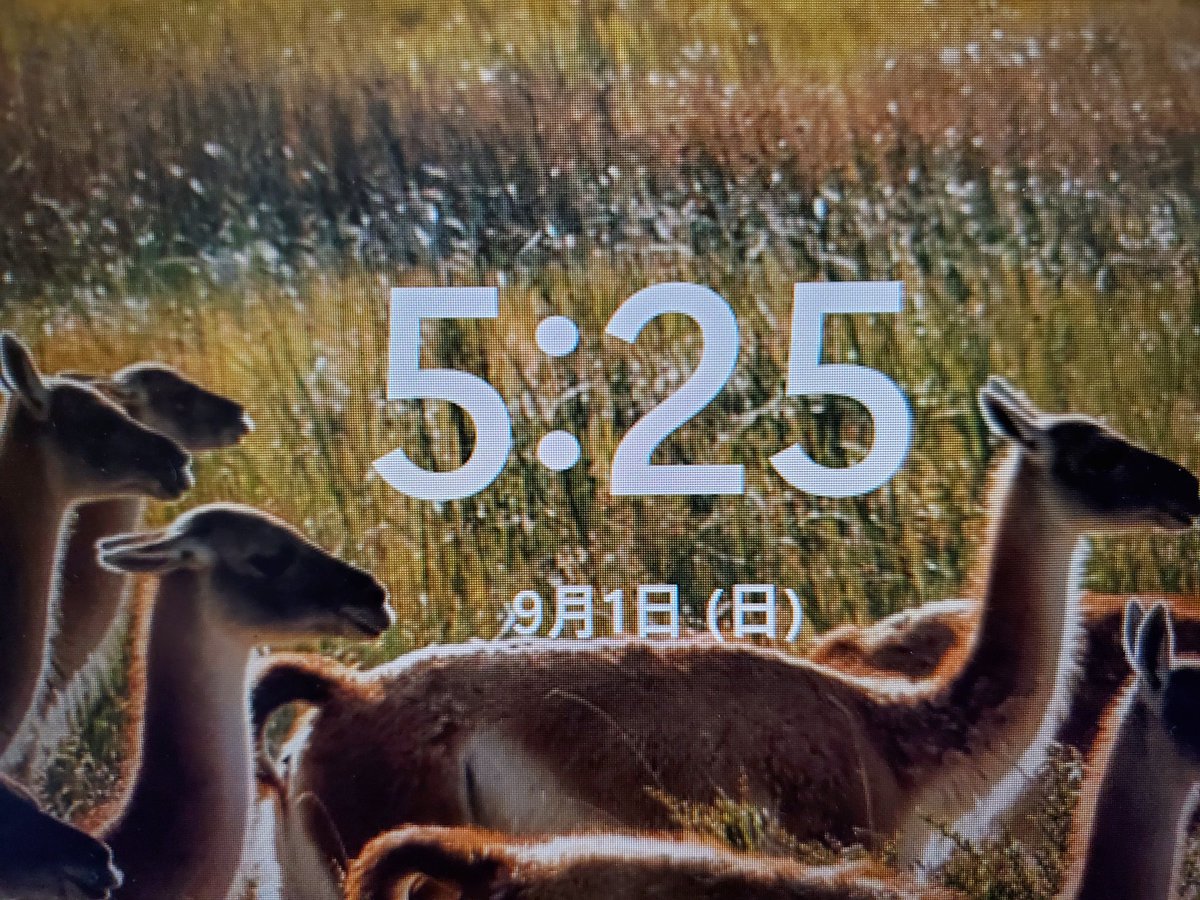 yu_uchikoshi's tweet photo. おはようございます。
5時20分起床。朝仕事して朝勉します。
本日もよい一日をお過ごしください。 https://t.co/a35wZBHCPO
