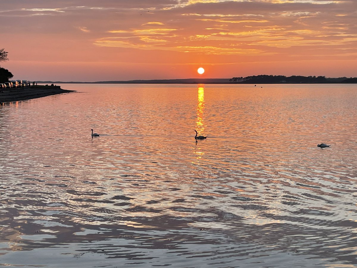 RFogwill's tweet image. Fantastic evening in Caernarfon with cast and crew of our current film, MadFabulous