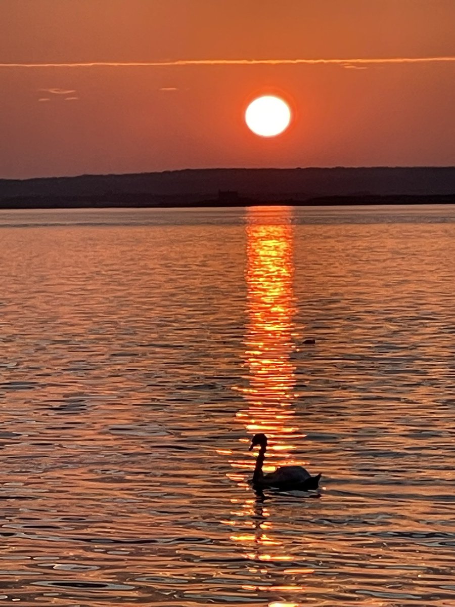 RFogwill's tweet image. Fantastic evening in Caernarfon with cast and crew of our current film, MadFabulous