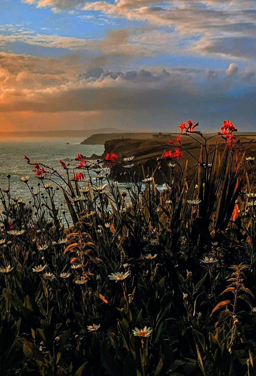 Cornwall, beautiful 😍