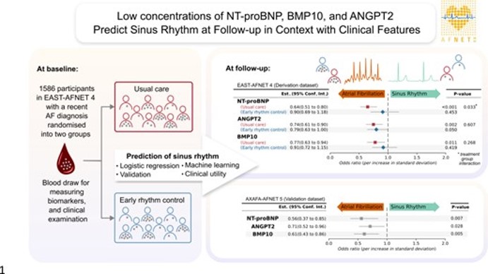 AFNET (@afnet_ev) on Twitter photo Predicting the chance of attaining #sinurhythm could help to identify #patients requiring intensive rhythm control. Read for yourself the just published #biomarker 🩸subanalysis of the #EASTtrial. doi.org/10.1093/eurhea…
<a href="/ehj_ed/">EHJ Editor-in-Chief</a> <a href="/UCCS_HH/">University Center of Cardiovascular Science (UCCS)</a> <a href="/H2020Maestria/">MAESTRIA EU H2020 project</a> @ICVS_UoB #AFNET #EHJ Predicting the chance of attaining #sinurhythm could help to identify #patients requiring intensive rhythm control. Read for yourself the just published #biomarker 🩸subanalysis of the #EASTtrial. doi.org/10.1093/eurhea…
<a href="/ehj_ed/">EHJ Editor-in-Chief</a> <a href="/UCCS_HH/">University Center of Cardiovascular Science (UCCS)</a> <a href="/H2020Maestria/">MAESTRIA EU H2020 project</a> @ICVS_UoB #AFNET #EHJ