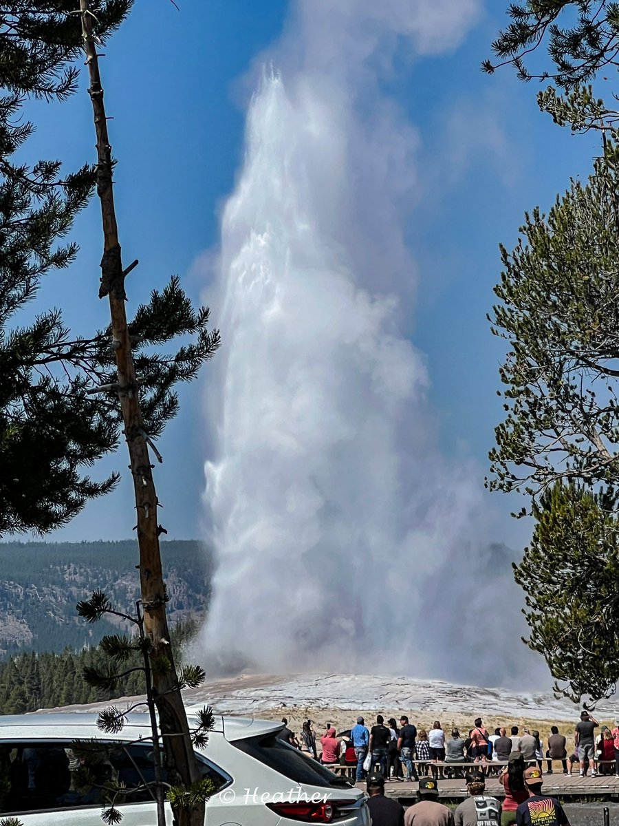 🇺🇸Heather🍊 tweet media