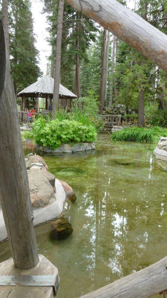LakeTahoeUSFS's tweet photo. Tallac Historic Site will be open Monday, Sep 2, 2024. After Labor Day, fall hours begin at Taylor Creek, Thu-Sun, 8-4pm & Tallac, Thu-Sun, 10-4:30pm. Pope House tours end Sep 15, Baldwin Museum closes Oct 6. #TallacHistoricSite #TaylorCreek #BaldwinMuseum #PopeHouse #LakeTahoe https://t.co/cagCGaocDP