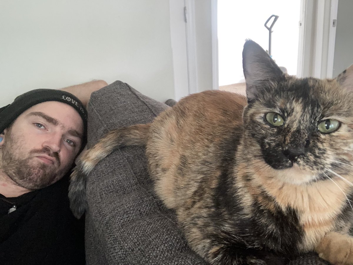 ImJustCryptic's tweet image. I promise we’re alive, comment if you’re still here 👀👀