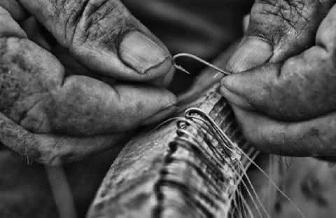 aref aref (@arefalfrganeya1) on Twitter photo 