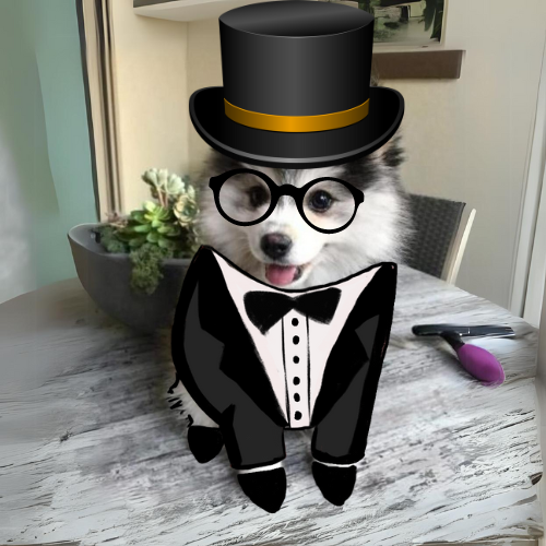 caneonsol tweet media