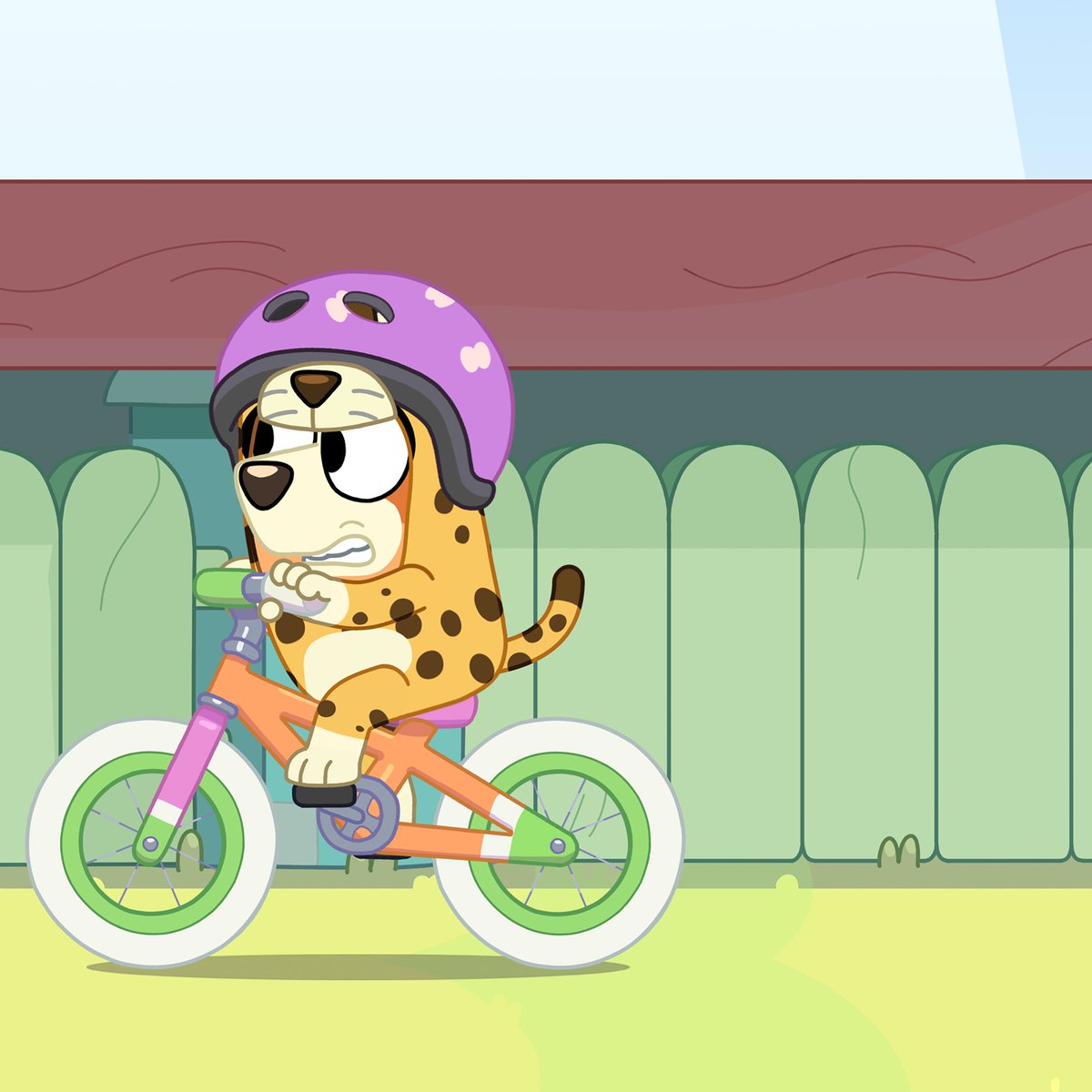 OfficialBlueyTV's tweet photo. Cheetahs can't ride bikes! ➡️ 🚲

#Bluey https://t.co/Tg0e9Gn3By