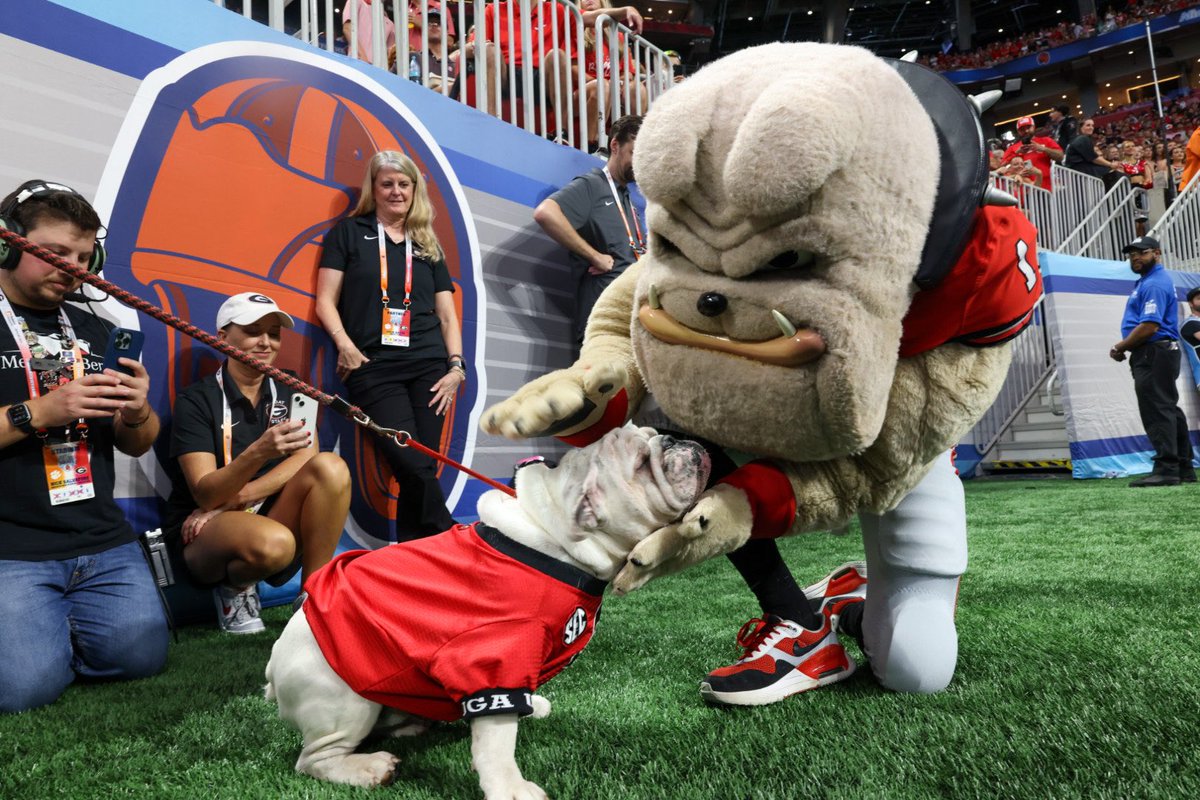 universityofga's tweet photo. football is so unbelievably back, you guys https://t.co/J2WIdbzct8