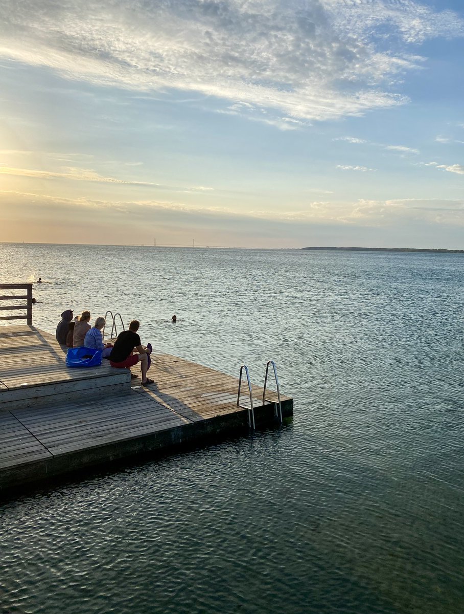 Selfies and sunsets from SurfCat Summer School in Kobæk Strand a couple of weeks ago 🌅 
<a href="/jaramillogroup/">Jaramillo Lab</a> <a href="/IfanStephens/">Ifan Stephens</a> <a href="/CherevkoSerhiy/">Serhiy Cherevko</a> <a href="/QuantumCat_/">Quantum Cat</a> <a href="/JakobKibsgaard/">Jɑkob Kibsgɑɑrd</a> <a href="/cargnellogroup/">Cargnello Group</a>