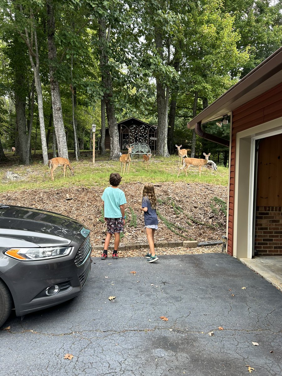 Maggie Howard tweet media