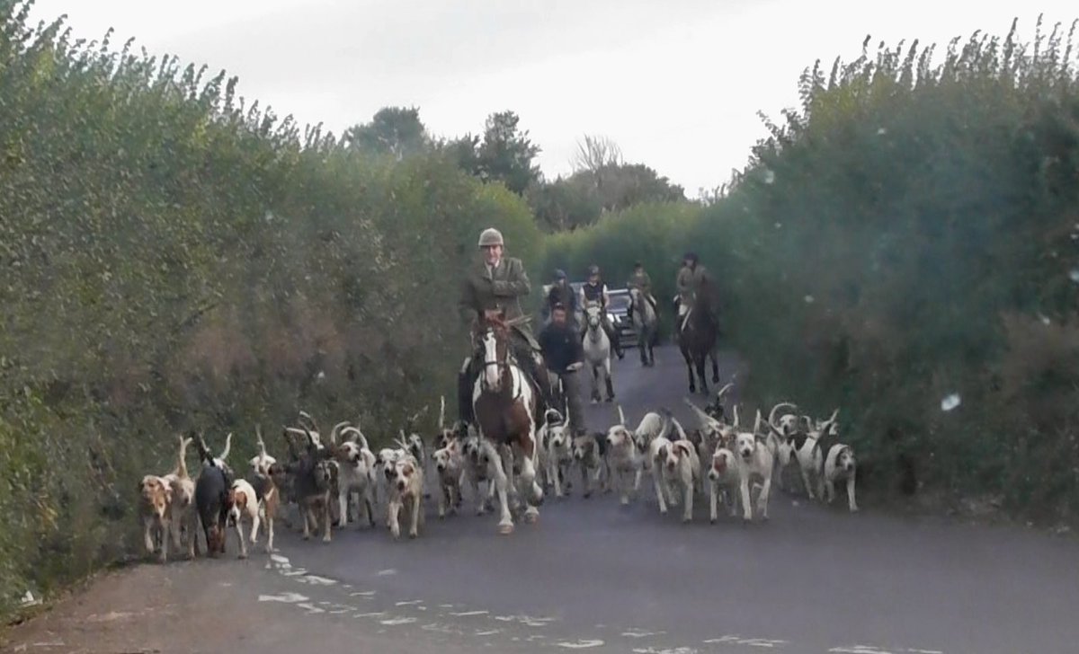 Somerset Sabs (@somersetsabs) on Twitter photo We joined an early morning cubbing meet with the Weston&Banwell Harriers today with their new Huntsman Paul Martin. They didn't pick up on any foxes but we did see one run for safe cover.
Then off to help <a href="/mendiphuntsabs/">Mendip Hunt Sabs</a> <a href="/NDHuntSabs/">North Dorset Hunt Saboteurs</a> at the D&S staghounds. We joined an early morning cubbing meet with the Weston&Banwell Harriers today with their new Huntsman Paul Martin. They didn't pick up on any foxes but we did see one run for safe cover.
Then off to help <a href="/mendiphuntsabs/">Mendip Hunt Sabs</a> <a href="/NDHuntSabs/">North Dorset Hunt Saboteurs</a> at the D&S staghounds.