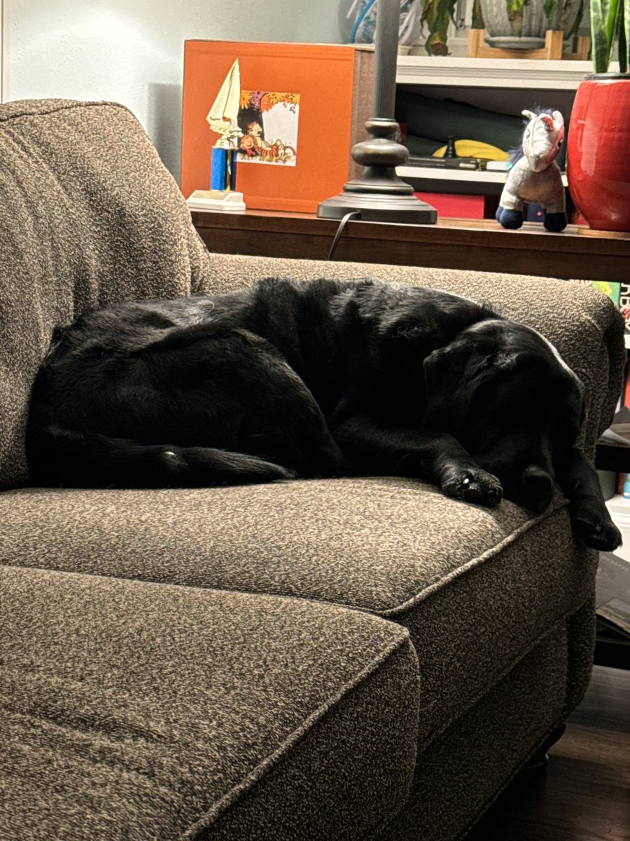 Vincent Young tweet media