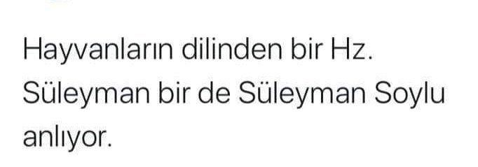 Nesrin (@yonca12341234) on Twitter photo 