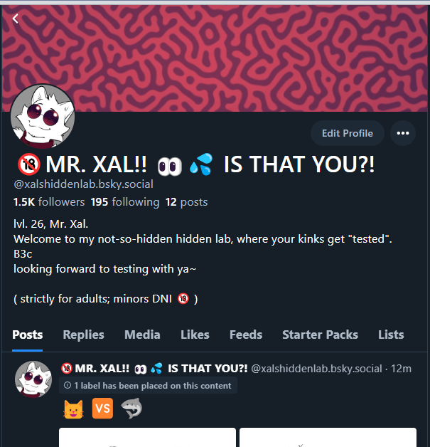 XAL🔞👀💦 tweet media