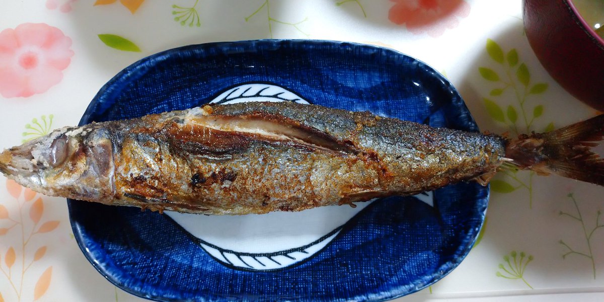 cherry_masaya's tweet photo. #goodmorning #mycooking #breakfast #roastedfish
#natto #okraandjapanesegingersalad #misosoup #umeboshi
#tastegood
#朝ごはん #うるめいわしの塩焼き #うるめいわし
#塩焼き #納豆 #秋葵と茗荷和え #じゃこ
#鰹節 #わかめのお味噌汁
#梅干し #日式早餐 #美味しい #健康 #好好吃😋 https://t.co/Rs1Vj9npnr