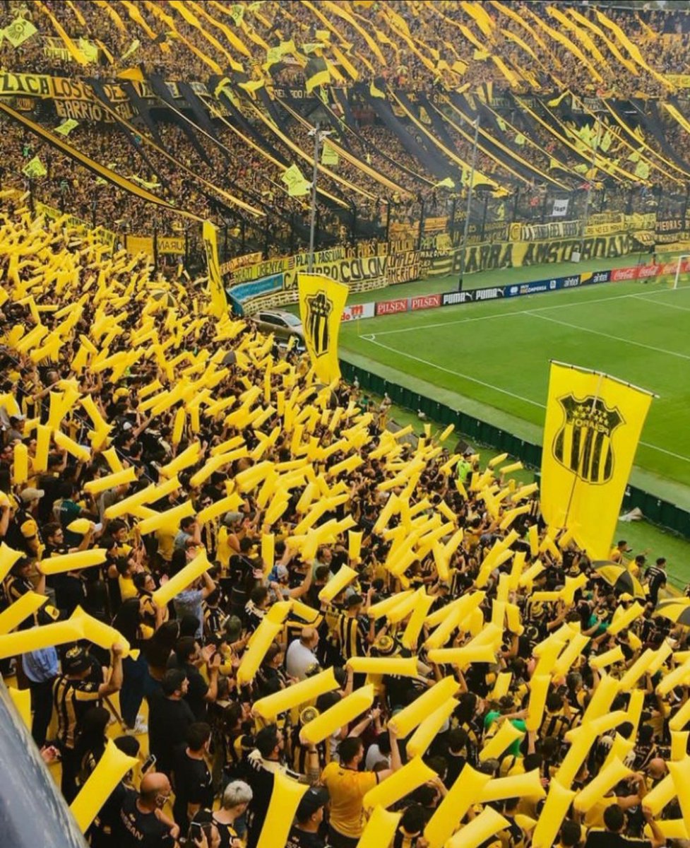 Serás eterno como el tiempo y florecerás en cada primavera. Llegó el mes de PEÑAROL.