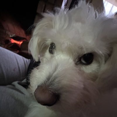 EmanuelGuede's tweet photo. #NuevaFotoDePerfil https://t.co/zGV6juafdu