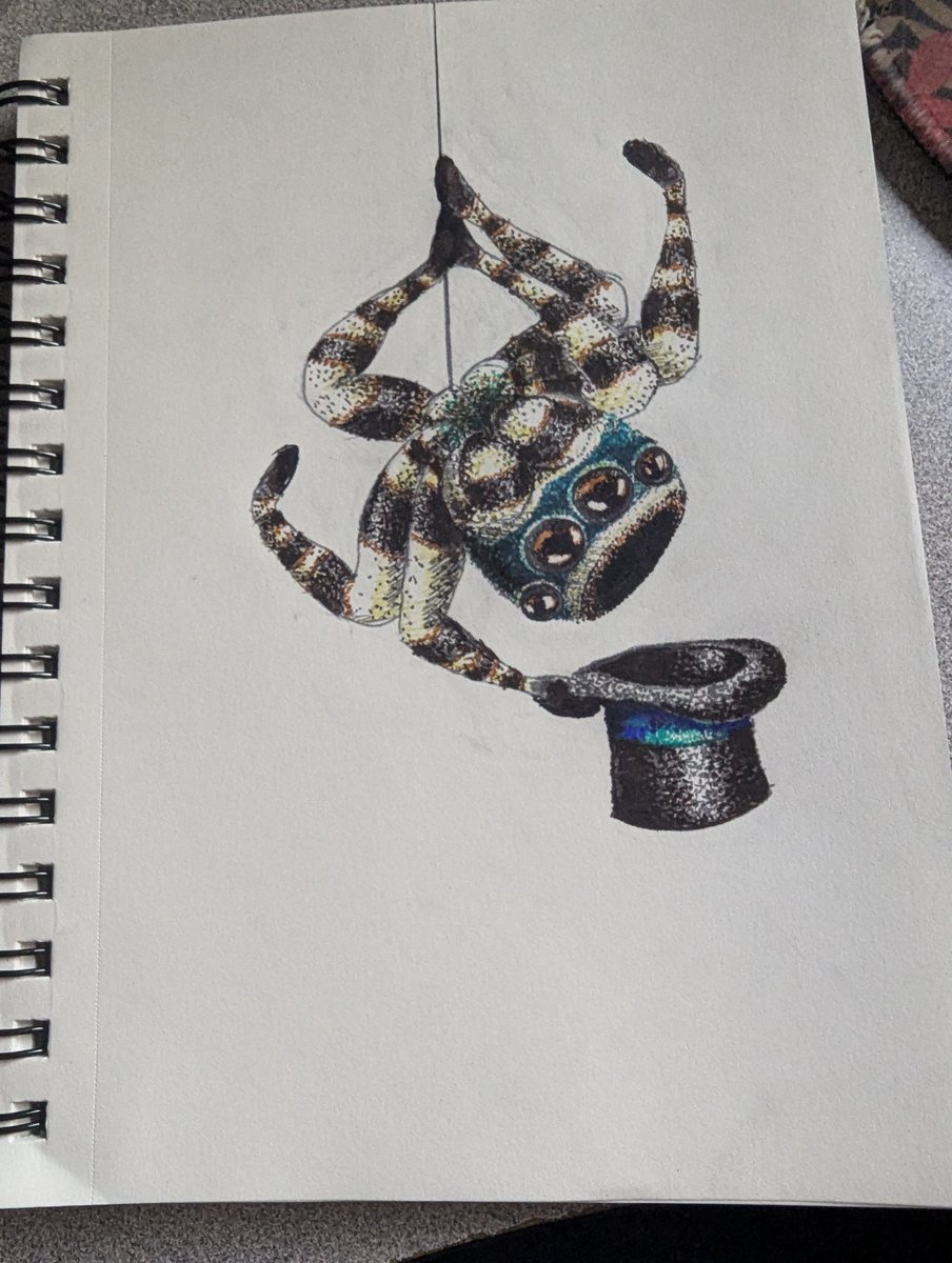 My wife just dropped this funny little guy on me.