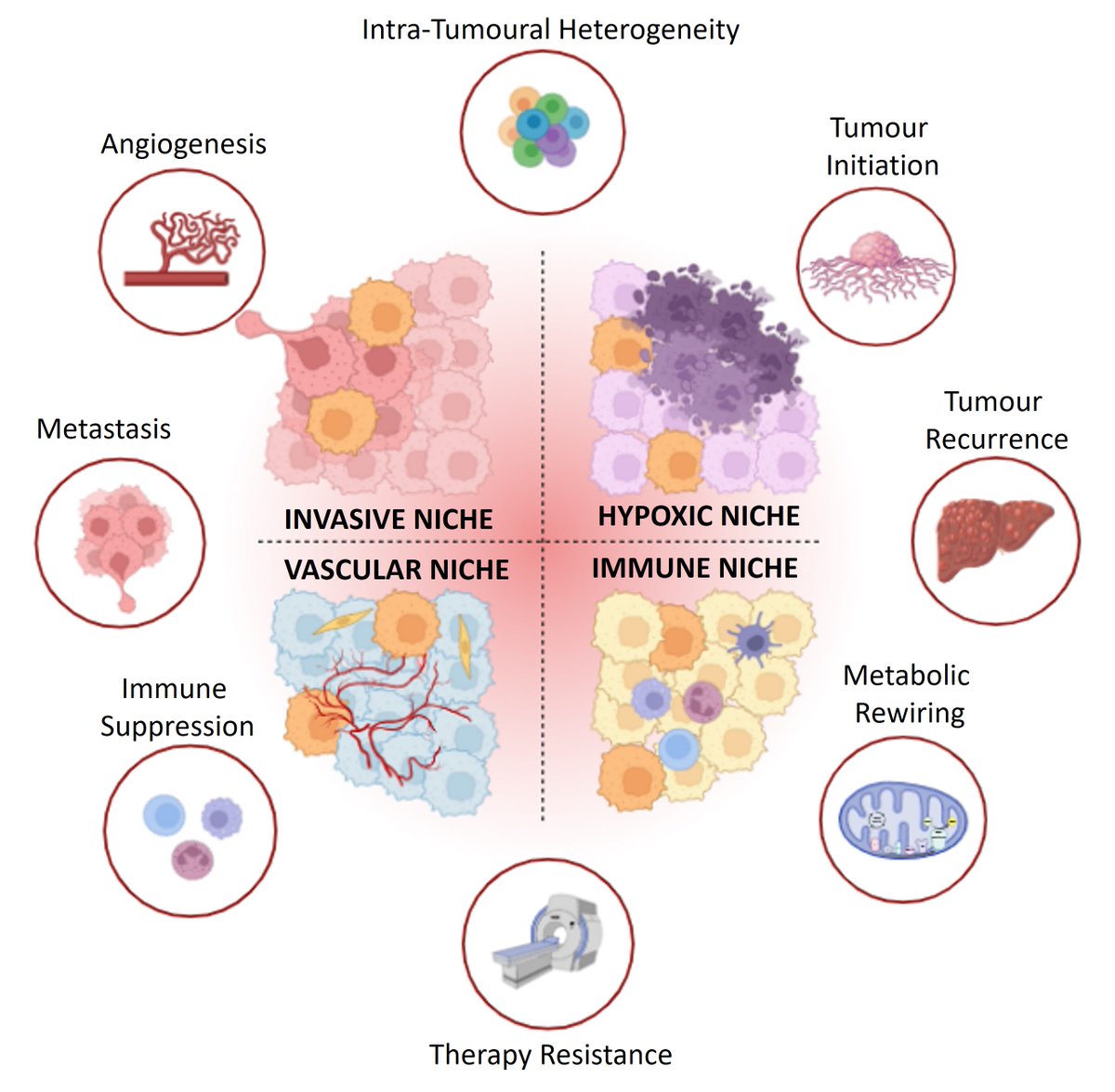 Saran__Kumar's tweet photo. 🚀 Acceptance alert! Proud to announce that our work has found a home in Cytokine &amp; Growth Factor Reviews (5 yr I.F - 10.2)! Excited to contribute to the field and share insights.  #HCC #CSC 
https://t.co/8CE8aYFKSe https://t.co/0LSgIyJ2Ij