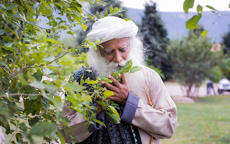 Exclusiveness is death. Inclusiveness is life. #SadhguruQuotes