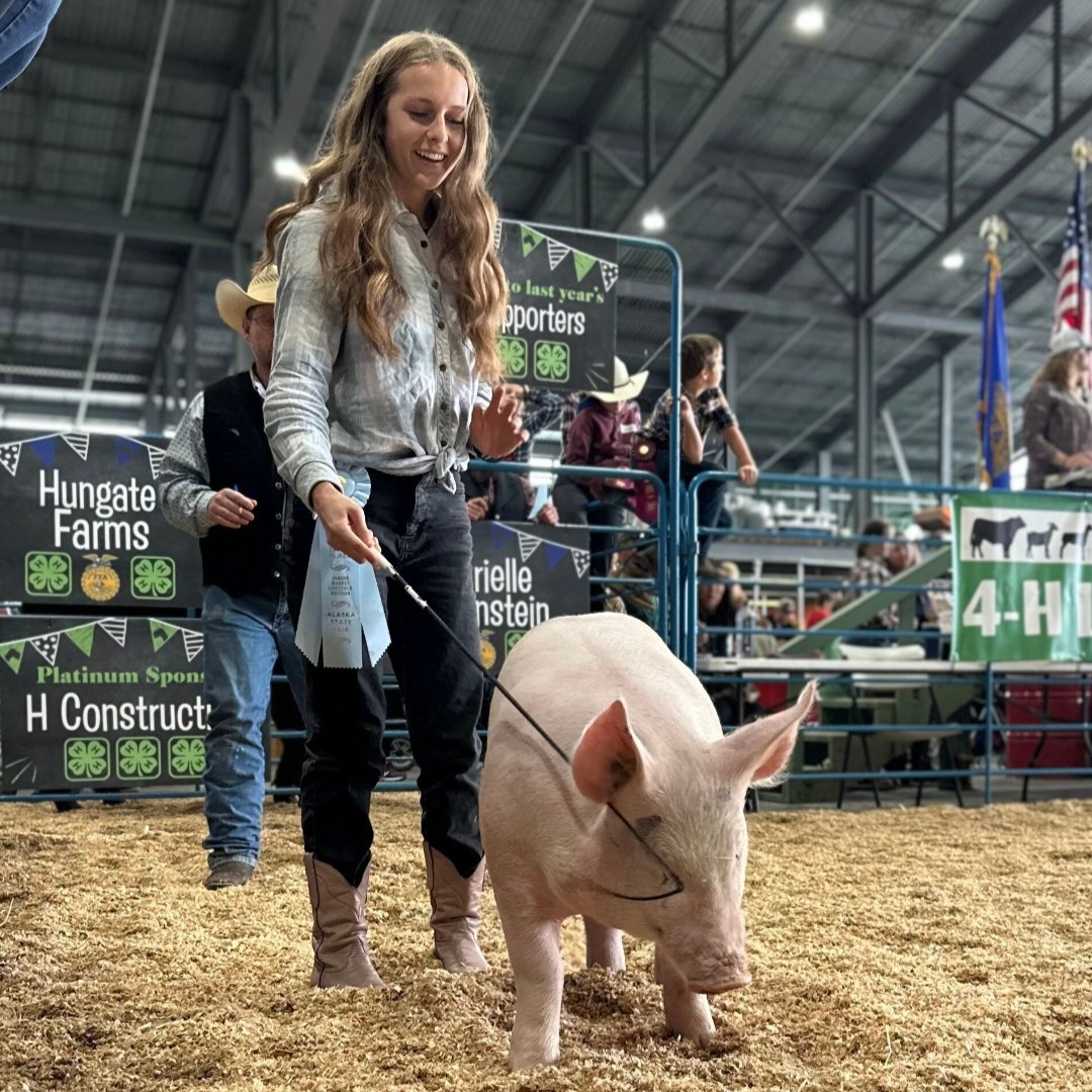 AlaskaStateFair's tweet photo. Wrapping up another fantastic 4H/FFA Junior Market Livestock Auction at the fair! @craigtaylorequipment Farm Exhibits #4HAuction #FFA #4H #CommunitySupport #AKFairFun #Fair #enjoytheride #Alaska #AlaskaStateFair #AlaskaFair #FairFun #AlaskaLife #Love #LoveAlaska https://t.co/sLfnfqMdbb