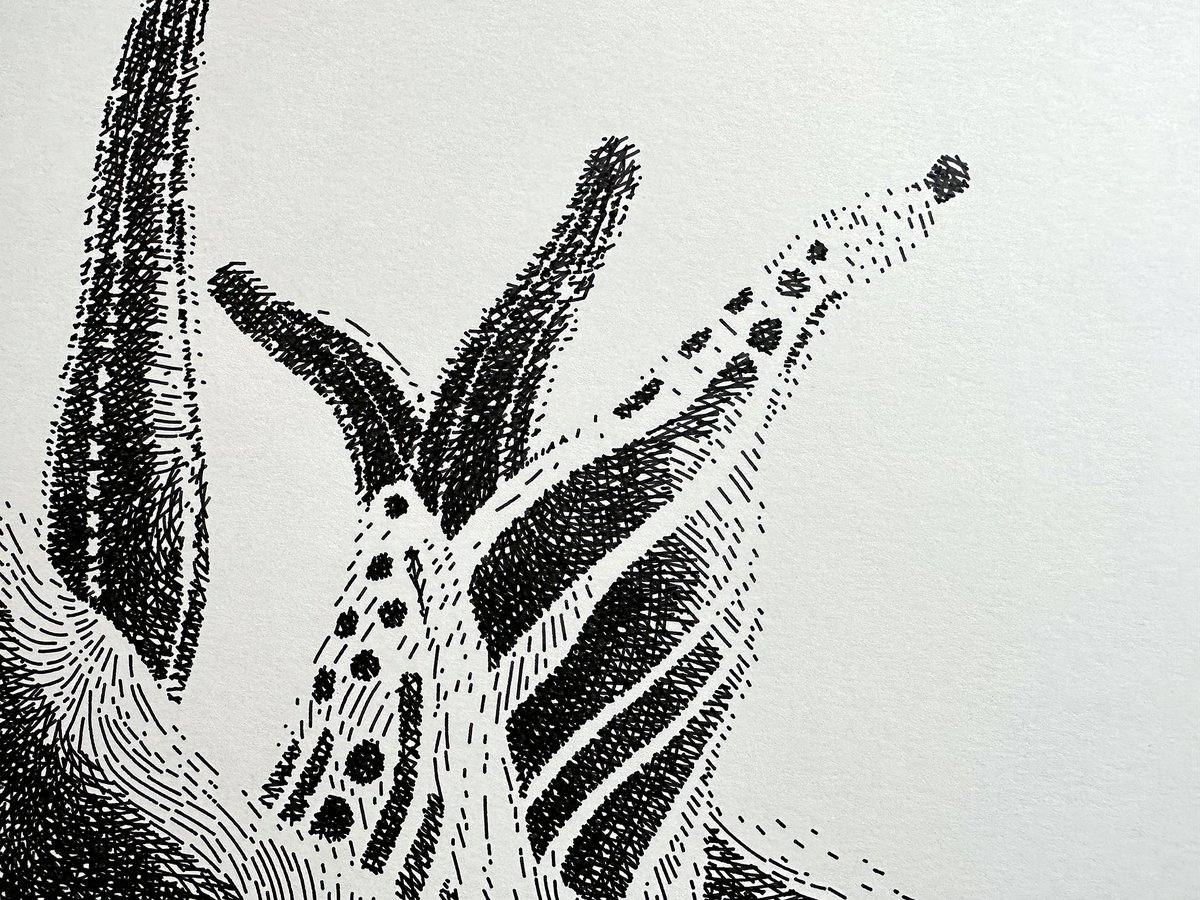 LandscapeArtBot's tweet photo. #plottertwitter https://t.co/pMUtnQpa16