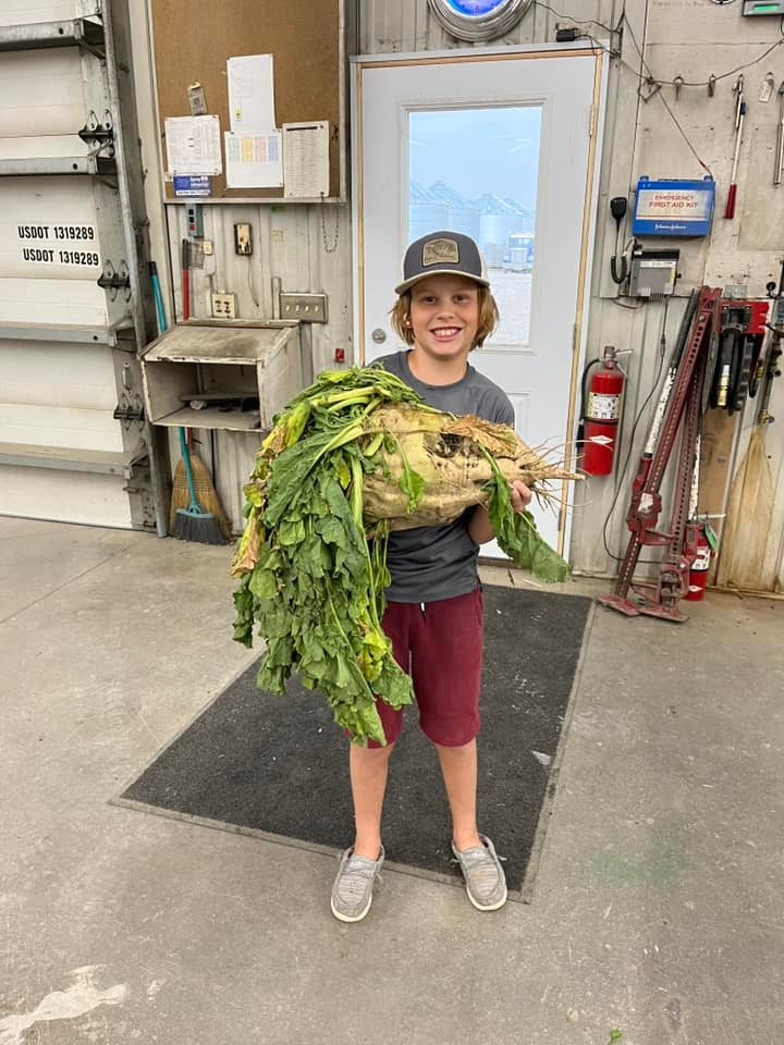 That's a giant sugarbeet if we've ever seen one! Reply with your best sugarbeet photos!

📸 Haley Thorson