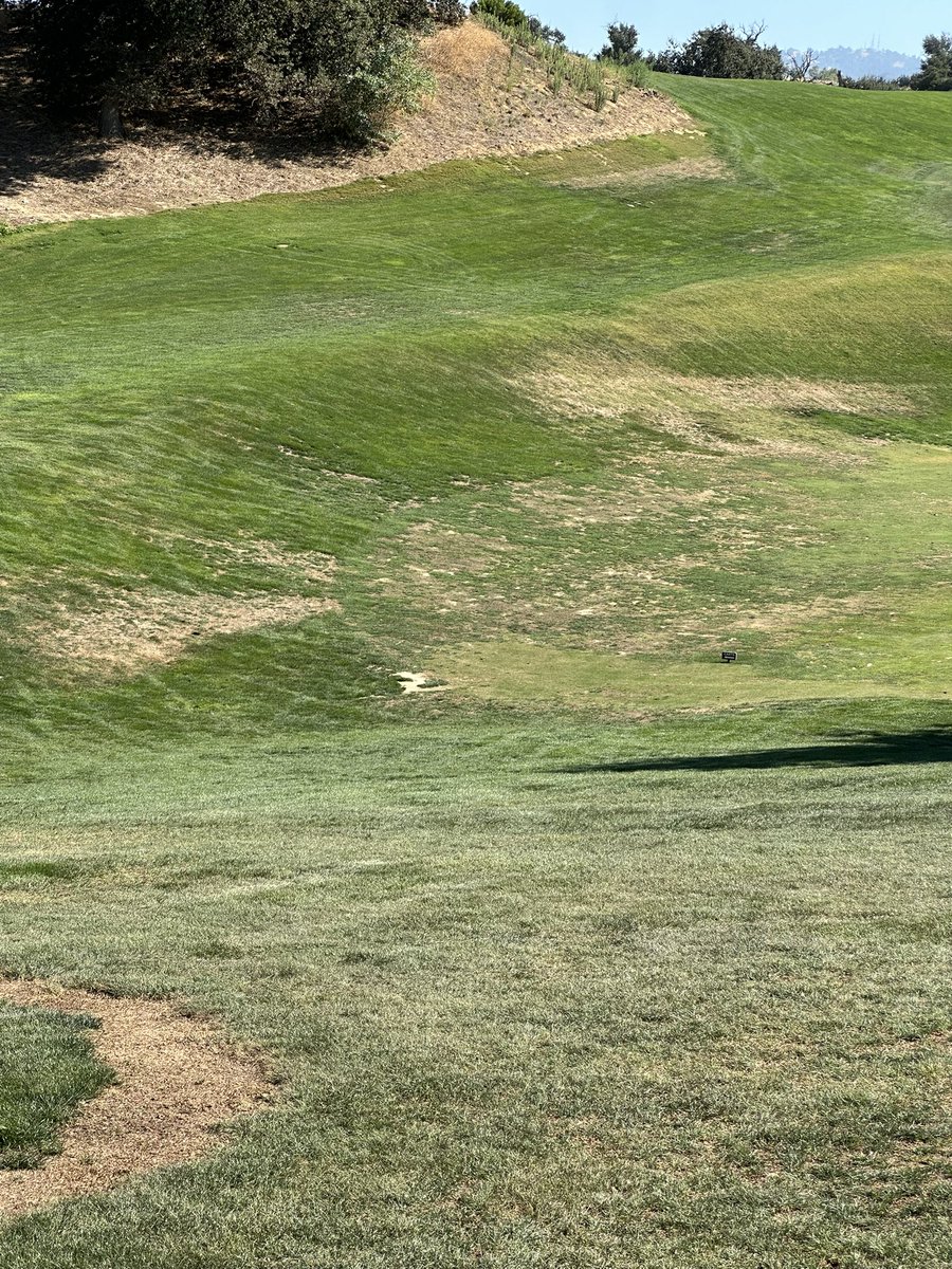 SlowTheGame's tweet image. Just arcis things @arcisgolf 

#slowthegame