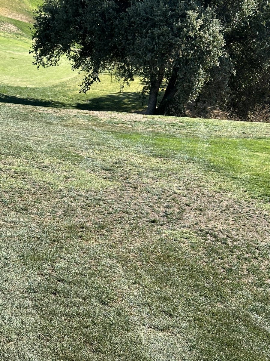 SlowTheGame's tweet image. Just arcis things @arcisgolf 

#slowthegame